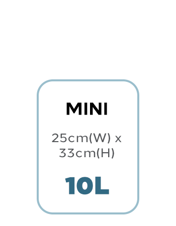 MINI Size Card